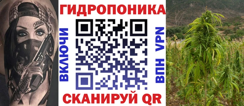 Где купить Егорьевск COCAIN ГАШИШ