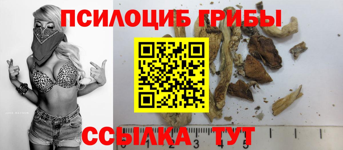 Псилоцибиновые грибы MAGIC MUSHROOMS Егорьевск