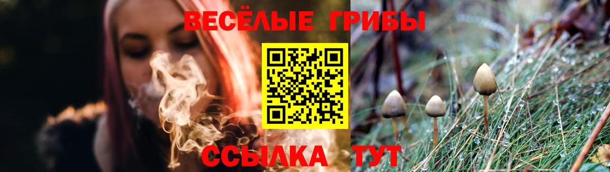 Галлюциногенные грибы мухоморы  Вход с VPN  продажа наркотиков  Егорьевск 